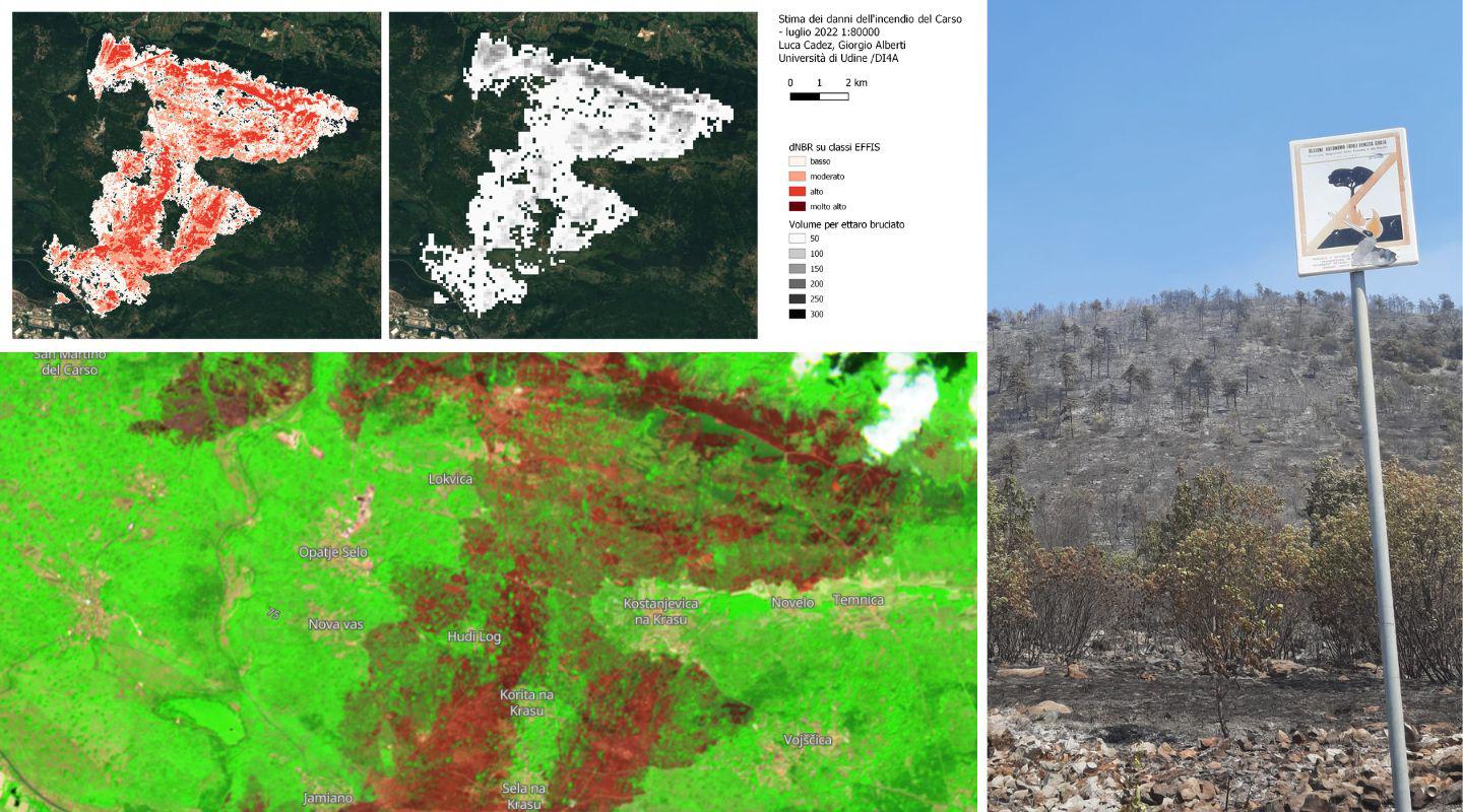 Immagine per Incendi sul Carso, bruciati quasi 200mila metri cubi di foresta